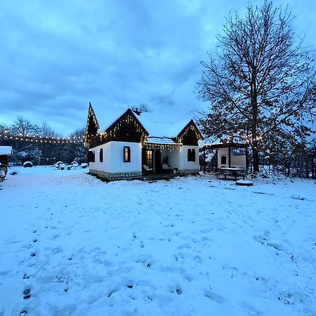 فيلا Cuib Din Fagaras أفريغ المظهر الخارجي الصورة